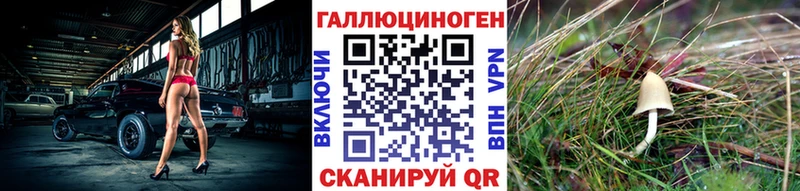 Галлюциногенные грибы Psilocybine cubensis  Александров 