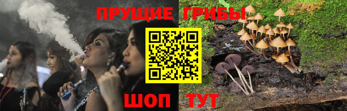 Александров  Псилоцибиновые грибы MAGIC MUSHROOMS  где купить наркоту  Псилоцибиновые грибы GOLDEN TEACHER  Вход с VPN 