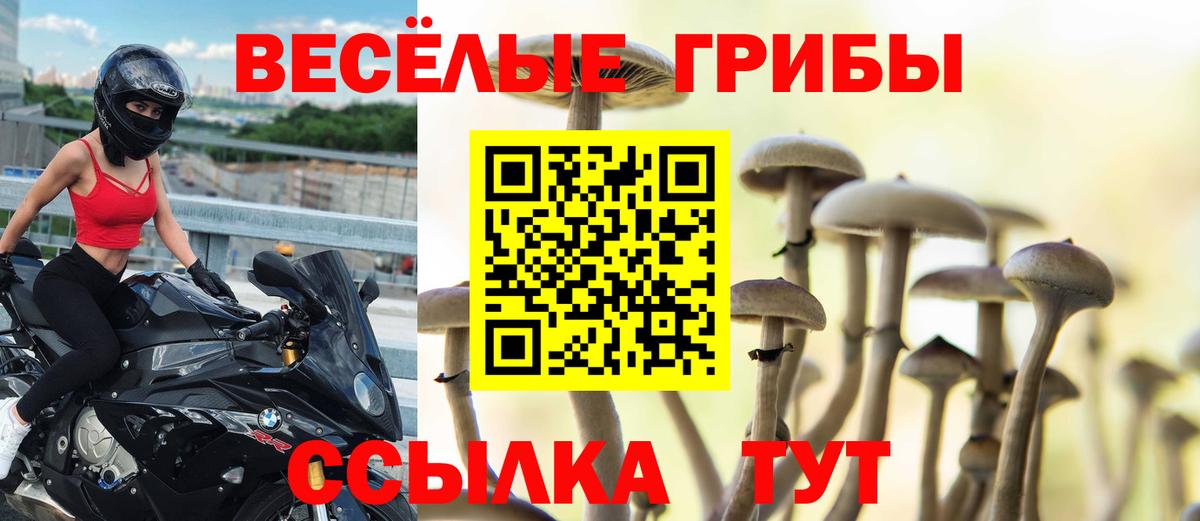 Галлюциногенные грибы ЛСД Александров